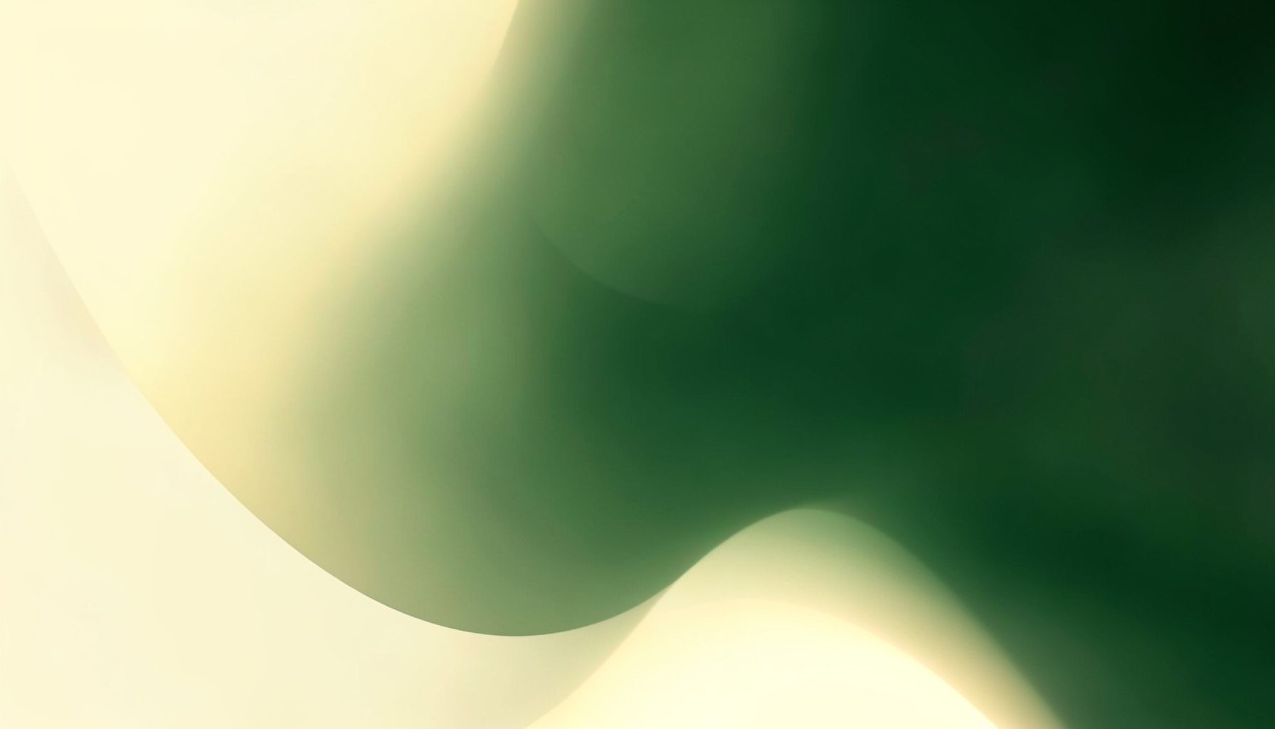 Abstract gradient composition in warm cream and deep forest green tones, with soft overlapping organic shapes suggesting growth and illumination