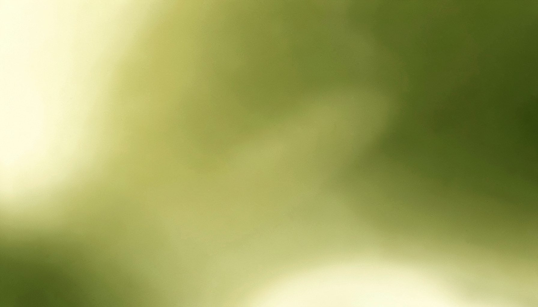 Warm cream and olive abstract gradient with gentle texture, thoughtful reflective mood