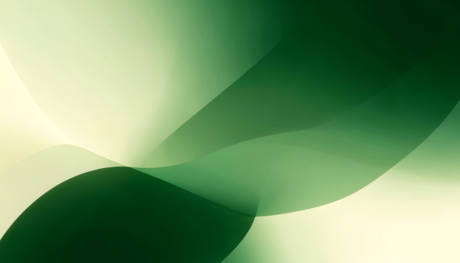 Abstract gradient composition in deep forest green and warm cream tones, with soft overlapping shapes suggesting growth and forward motion.