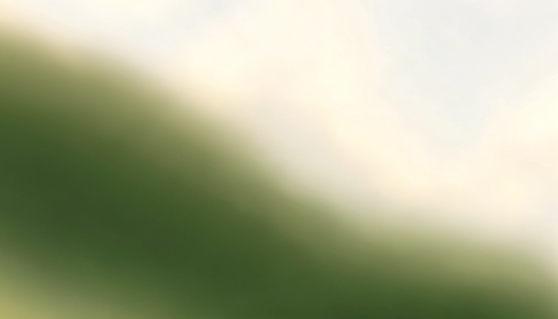A soft abstract gradient blending muted olive greens into warm cream tones, with a gentle atmospheric haze suggesting open sky and contemplation.